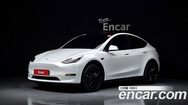 Tesla Model Y Long Range AWD — пробег 49 611 км — фото 1 из 5