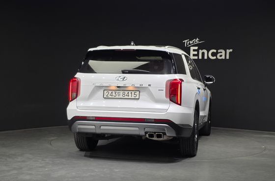 Hyundai Palisade Diesel 2.2 4WD Exclusive — пробег 49 430 км — фото 4 из 5