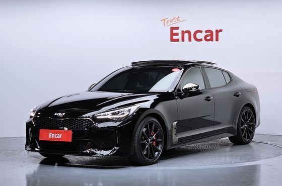 Kia Stinger 2.5 AWD Masters ACRO EDITION — пробег 80 378 км — фото 1 из 5