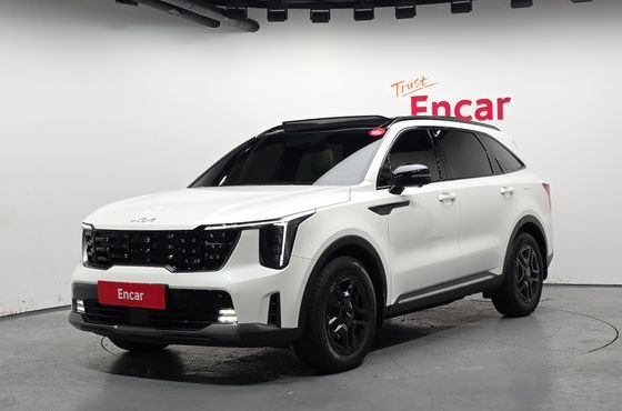 Kia Sorento HEV 1.6 2WD Gravity — пробег 13 058 км — фото 1 из 5