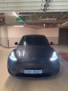 Tesla Model Y RWD — пробег 33 000 км — фото 1 из 5