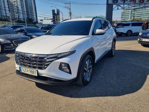 Hyundai Tucson Gasoline 1.6 Turbo 2WD Premium — пробег 53 116 км — фото 1 из 5