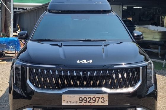 Kia Carnival HEV 9-Seater Hi-Limousine (Special vehicle) — пробег 7 км — фото 3 из 5