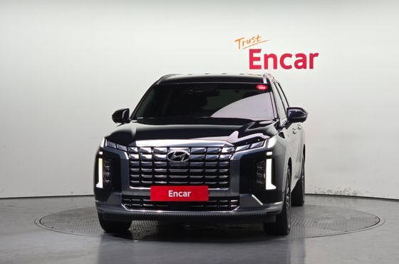 Hyundai Palisade Gasoline 3.8 4WD Calligraphy — пробег 48 125 км — фото 3 из 5