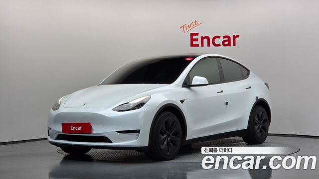 Tesla Model Y Long Range AWD — пробег 46 308 км — фото 1 из 5