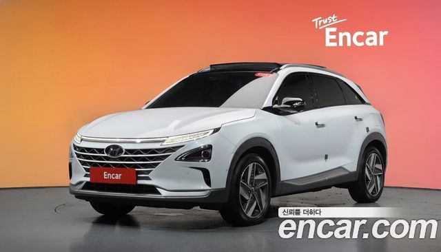 Hyundai Nexo Premium — пробег 50 008 км — фото 1 из 5