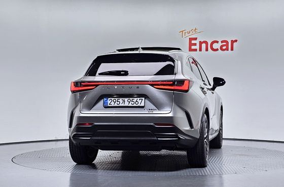 Lexus NX Luxury — пробег 7 825 км — фото 4 из 5