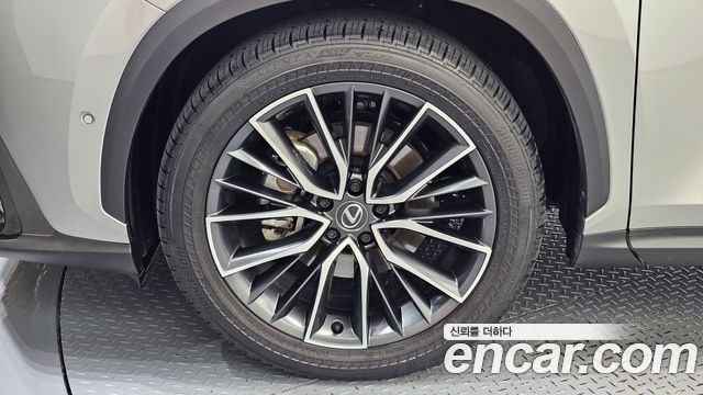 Lexus NX Luxury — пробег 7 825 км — фото 5 из 5
