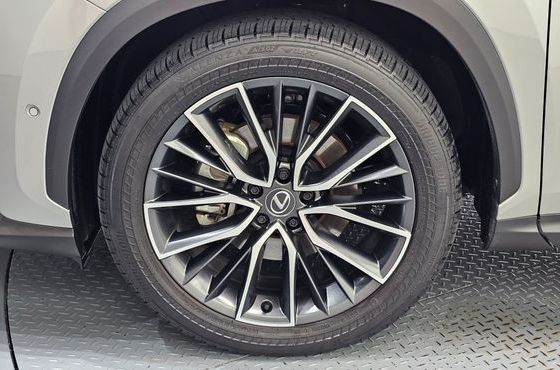 Lexus NX Luxury — пробег 7 825 км — фото 5 из 5