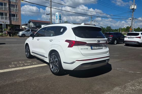 Hyundai Santafe Gasoline 2.5T 4WD Calligraphy — пробег 29 436 км — фото 4 из 5