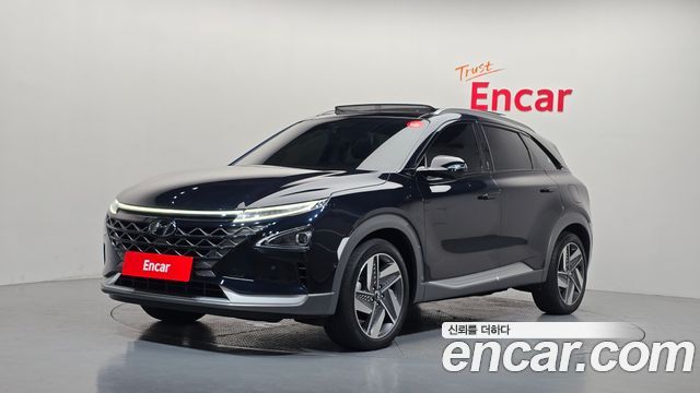 Hyundai Nexo Premium — пробег 77 900 км — фото 1 из 5