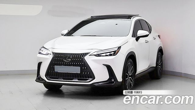 Lexus NX Luxury — пробег 18 135 км — фото 1 из 5