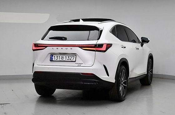 Lexus NX Luxury — пробег 18 135 км — фото 2 из 5