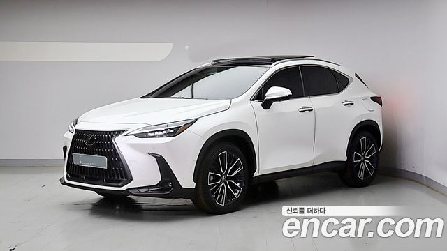 Lexus NX Luxury — пробег 18 135 км — фото 3 из 5