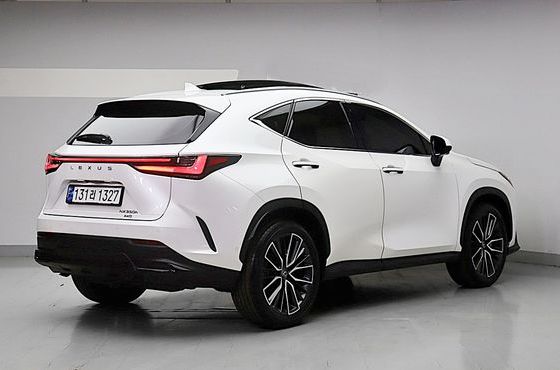 Lexus NX Luxury — пробег 18 135 км — фото 4 из 5