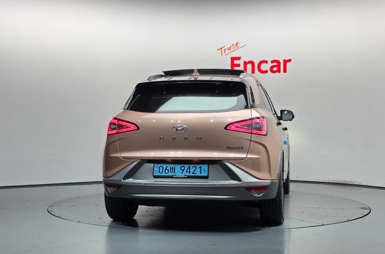 Hyundai Nexo Premium — пробег 73 203 км — фото 4 из 5