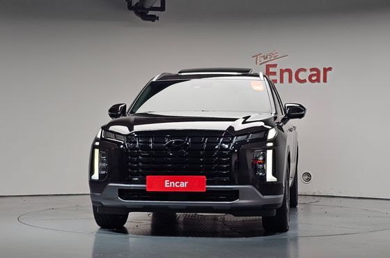 Hyundai Palisade Gasoline 3.8 2WD Le Blanc — пробег 74 194 км — фото 3 из 5