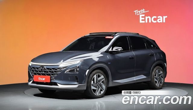 Hyundai Nexo Premium — пробег 137 803 км — фото 1 из 5