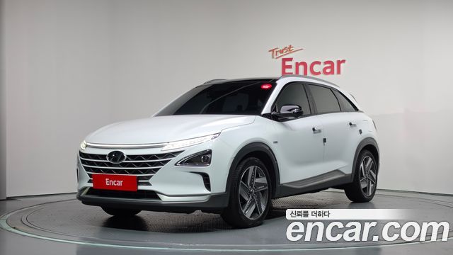 Hyundai Nexo Premium — пробег 194 877 км — фото 1 из 5