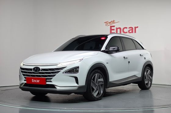 Hyundai Nexo Premium — пробег 194 877 км — фото 1 из 5