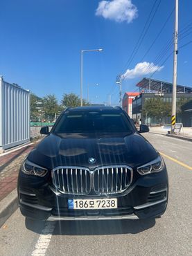 BMW X5 xDrive 30d xLine — пробег 90 000 км — фото 1 из 5