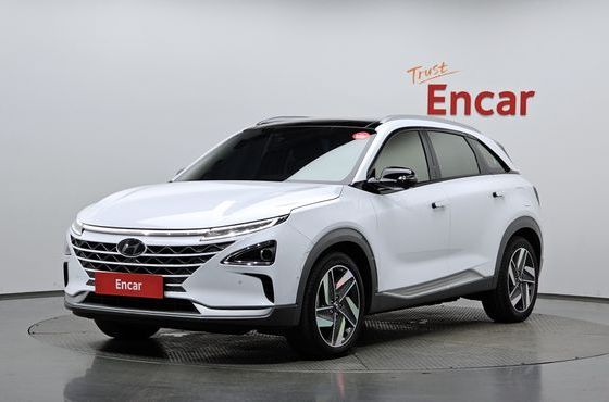 Hyundai Nexo Premium — пробег 71 764 км — фото 1 из 5
