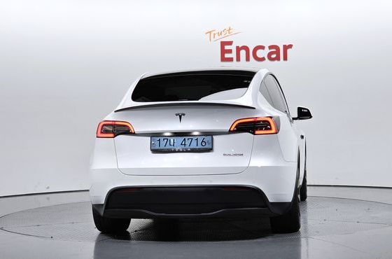 Tesla Model Y Performance AWD — пробег 52 984 км — фото 4 из 5