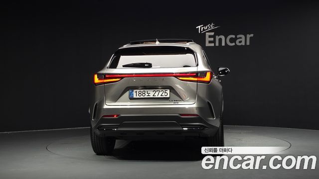 Lexus NX Luxury — пробег 11 816 км — фото 4 из 5