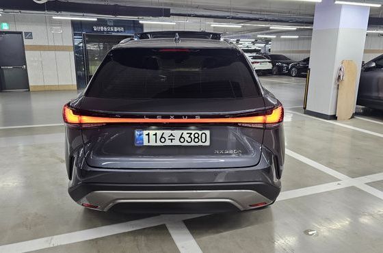 Lexus RX Luxury — пробег 20 км — фото 4 из 5