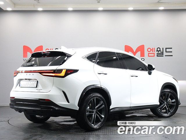 Lexus NX Premium — пробег 6 262 км — фото 2 из 5