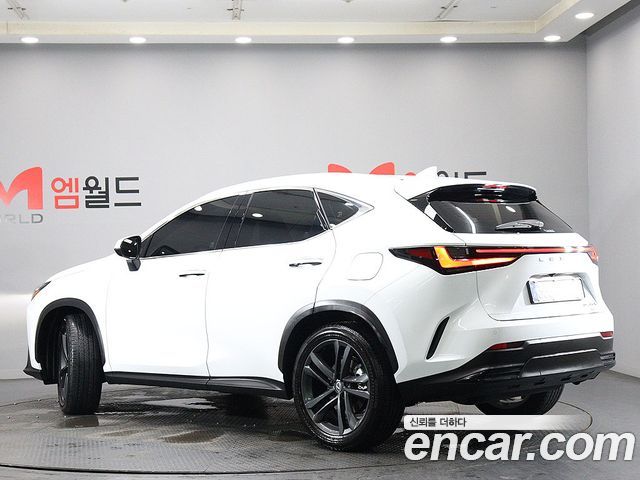Lexus NX Premium — пробег 6 262 км — фото 4 из 5