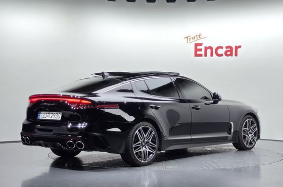 Kia Stinger 2.5 Masters — пробег 85 435 км — фото 2 из 5