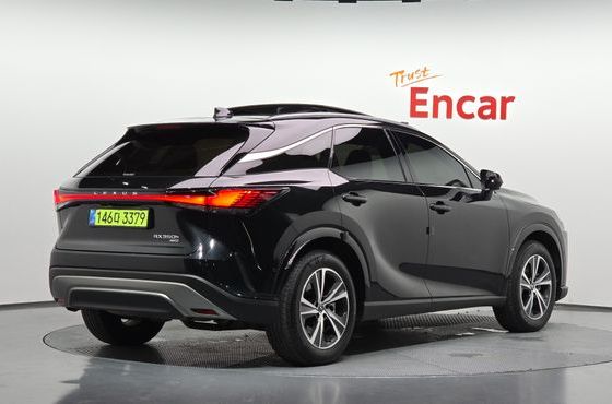 Lexus RX Luxury — пробег 41 147 км — фото 2 из 5