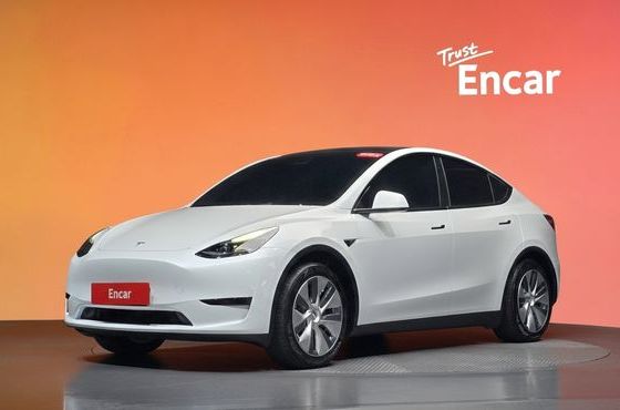 Tesla Model Y RWD — пробег 37 105 км — фото 1 из 5