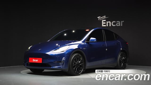 Tesla Model Y Long Range AWD — пробег 52 604 км — фото 1 из 5