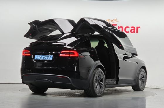 Tesla Model X AWD — пробег 6 194 км — фото 2 из 5