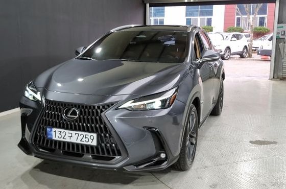 Lexus NX Premium — пробег 53 000 км — фото 2 из 5