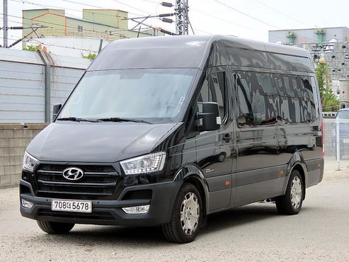 Hyundai Solati Limousine — пробег 52 672 км — фото 1 из 5