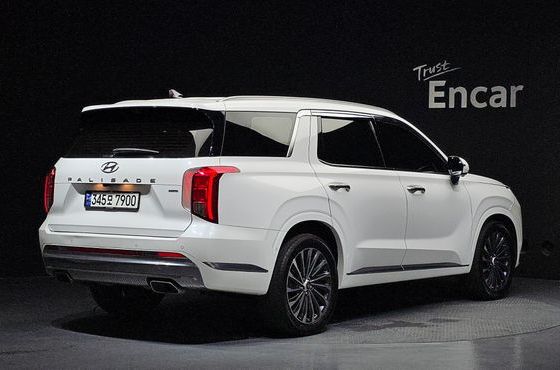 Hyundai Palisade Diesel 2.2 4WD Calligraphy — пробег 55 520 км — фото 2 из 5