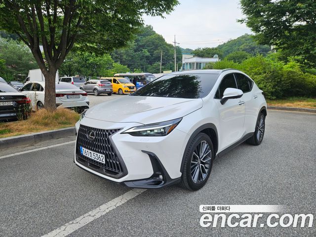 Lexus NX Luxury — пробег 18 462 км — фото 1 из 5