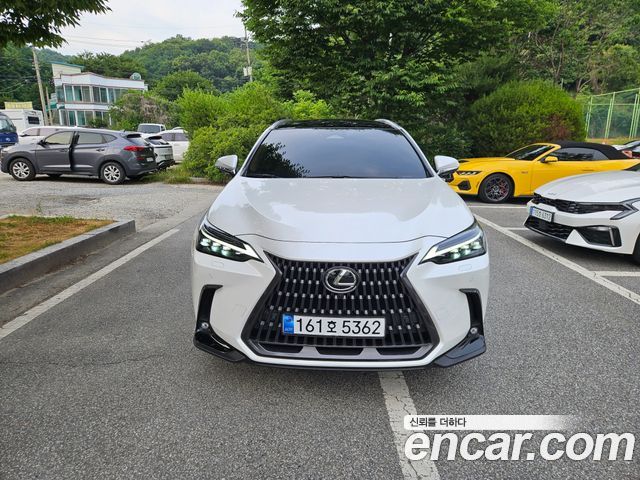 Lexus NX Luxury — пробег 18 462 км — фото 2 из 5
