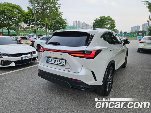 Lexus NX Luxury — пробег 18 462 км — фото 3 из 5