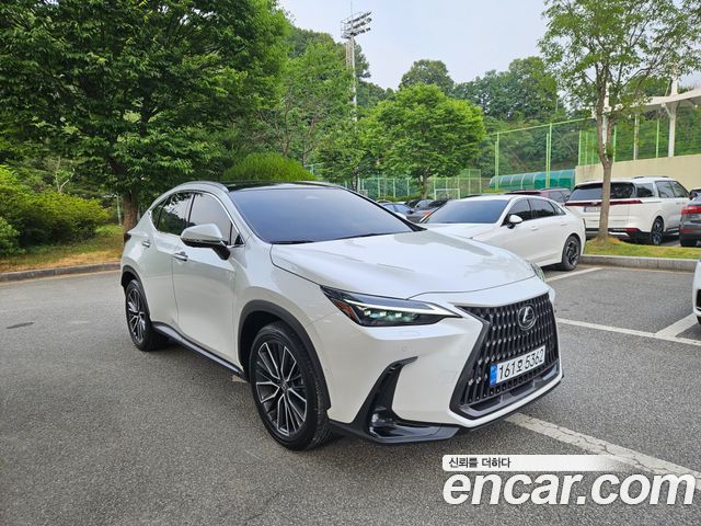 Lexus NX Luxury — пробег 18 462 км — фото 4 из 5