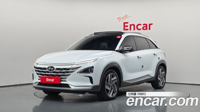 Hyundai Nexo Premium — пробег 77 106 км — фото 1 из 5