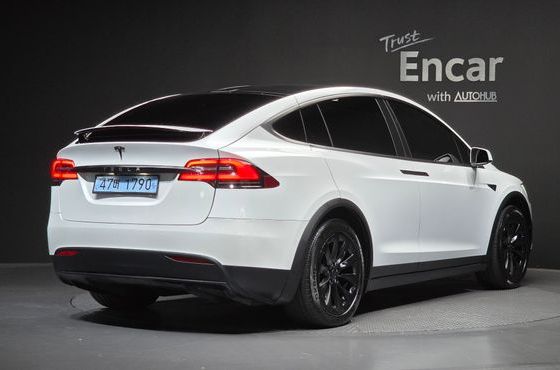 Tesla Model X Long Range — пробег 71 720 км — фото 2 из 5