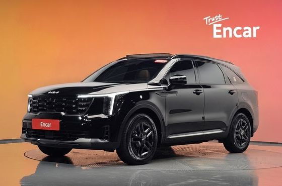 Kia Sorento HEV 1.6 2WD Gravity — пробег 34 297 км — фото 1 из 5
