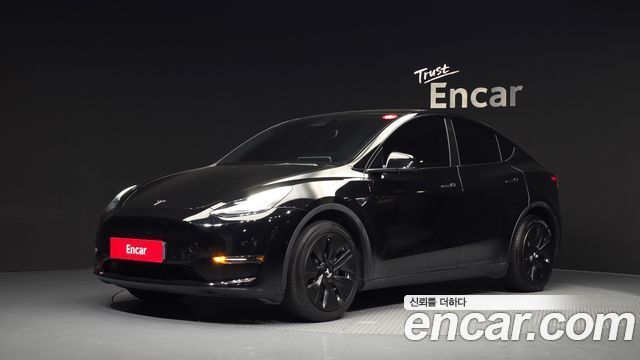 Tesla Model Y Long Range AWD — пробег 141 501 км — фото 1 из 5