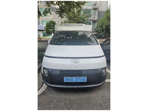 Hyundai ST1 Cargo Freezer Container Premium — пробег 18 189 км — фото 1 из 5
