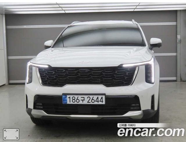 Kia Sorento HEV 1.6 2WD Noblesse — пробег 3 974 км — фото 3 из 5
