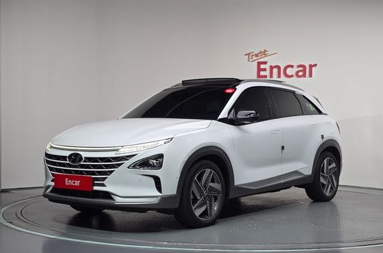 Hyundai Nexo Premium — пробег 102 090 км — фото 1 из 5